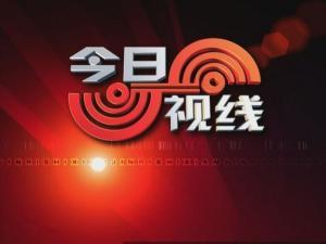 爆料今日视线新闻,揭秘热点事件背后真相